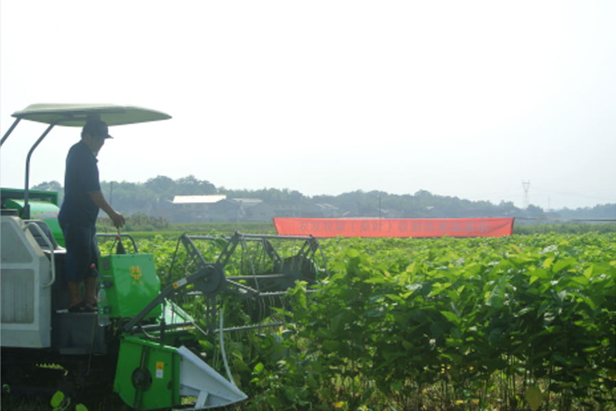 湖南省米乐YY易游M6盛泰农业科技有限公司